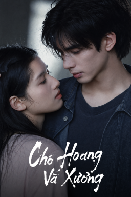 Poster phim Chó Hoang Và Xương trên Phim Mới